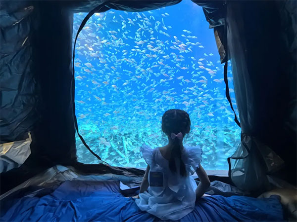8月2日海洋夜宿火熱招募！與魚(yú)共眠的浪漫奇遇名額有限，速來(lái)！